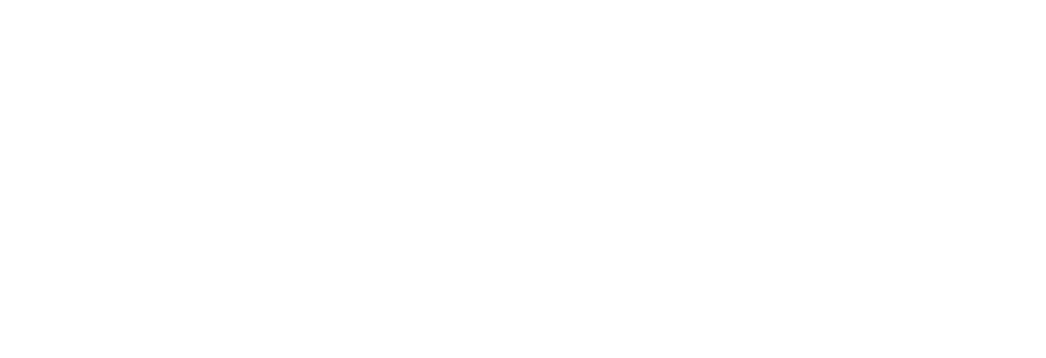 七芯瓢虫 Ladybird