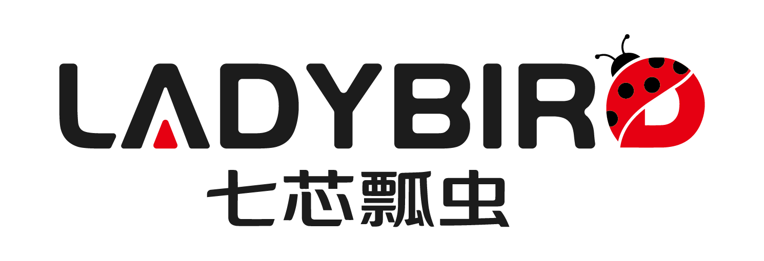 七芯瓢虫 Ladybird